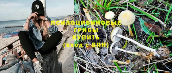 дживик Белокуриха