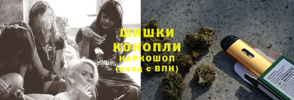 дживик Белокуриха